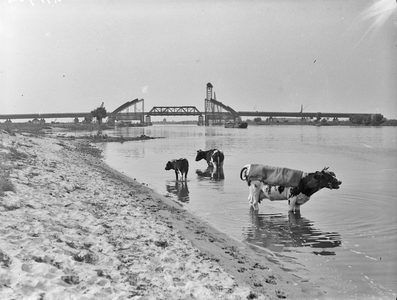 400199 Gezicht op de in aanbouw zijnde Lekbrug (in Rijksweg 2) tussen Vreeswijk en Vianen, met op de voorgrond enkele ...
